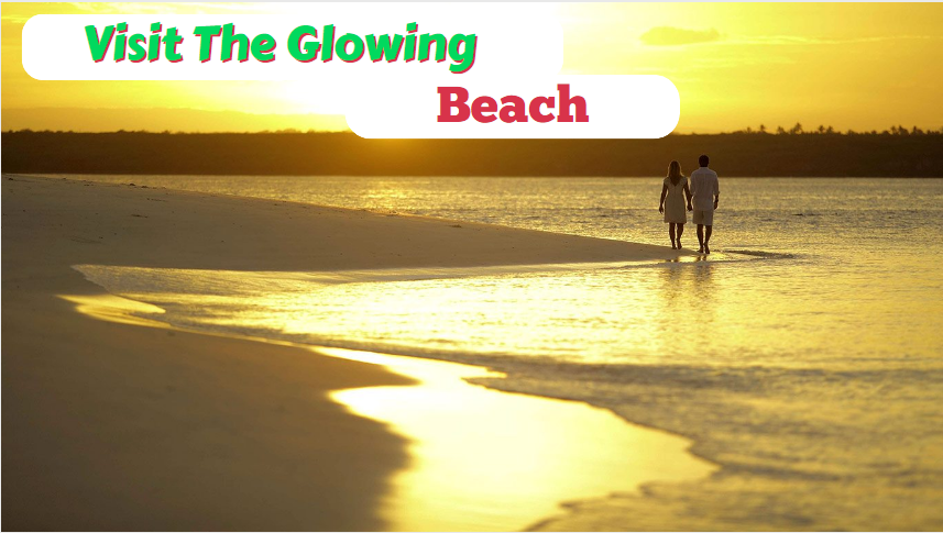 Visit The Glowing Beach
