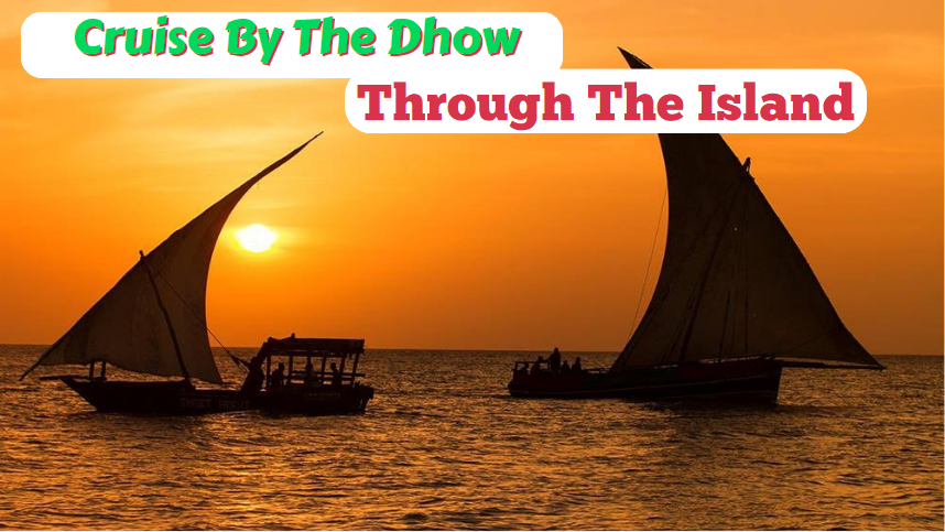 Cruise By The Dhow Through The Island