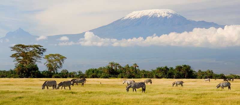 kilimanjaro safari and zanzibar