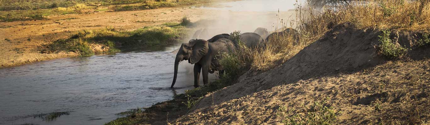 Ruaha National Park