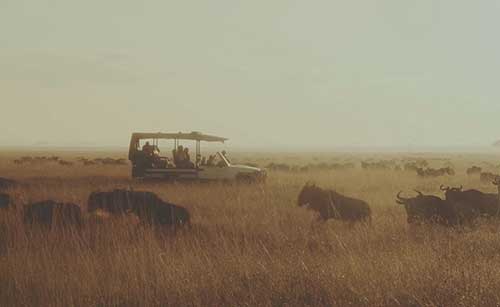 Serengeti Bushtops Camp