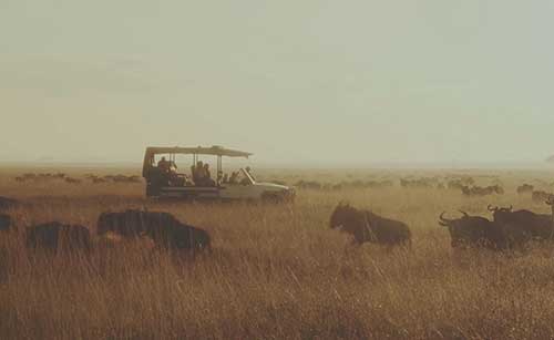 Serengeti Bushtops Camp