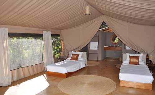 Tarangire Ecoscience Lodge