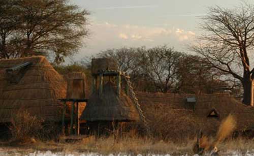 Mwagusi Safari Camp