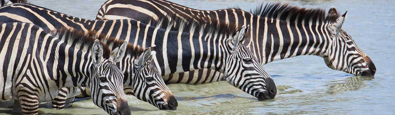 Arusha National Park