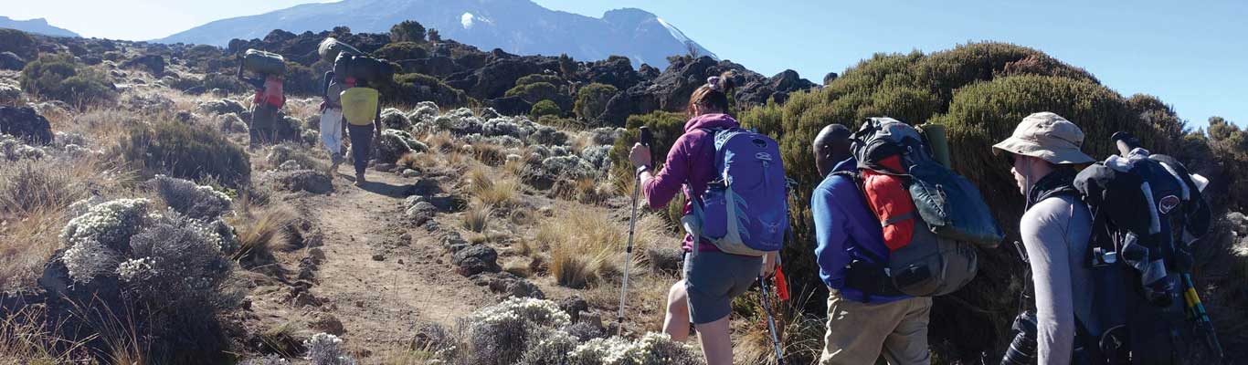 Climbing And Trekking