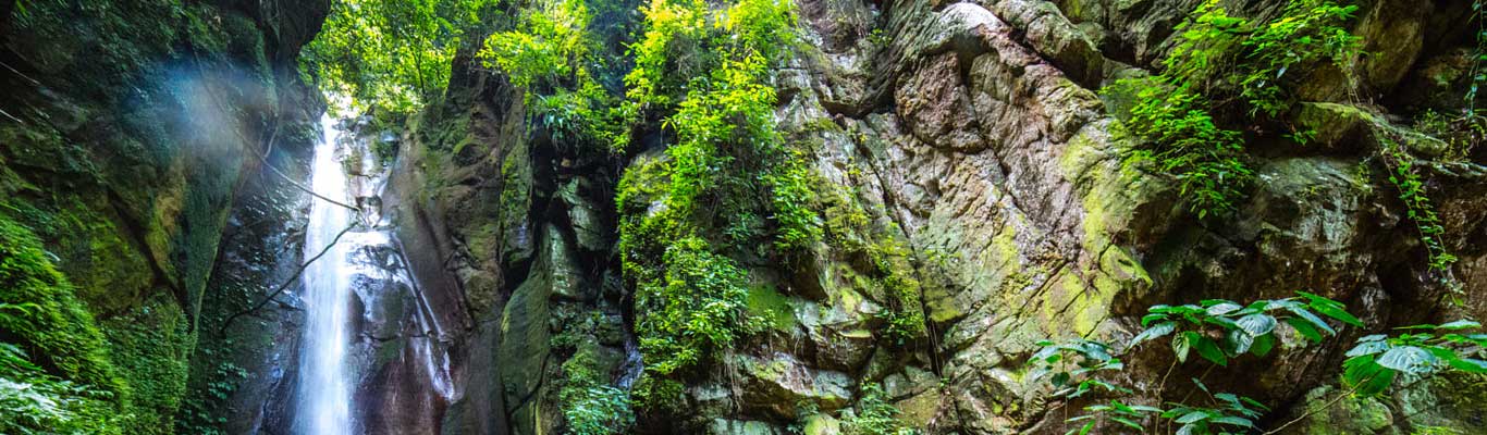 Gombe Stream National Park