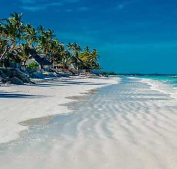 Holiday In Zanzibar