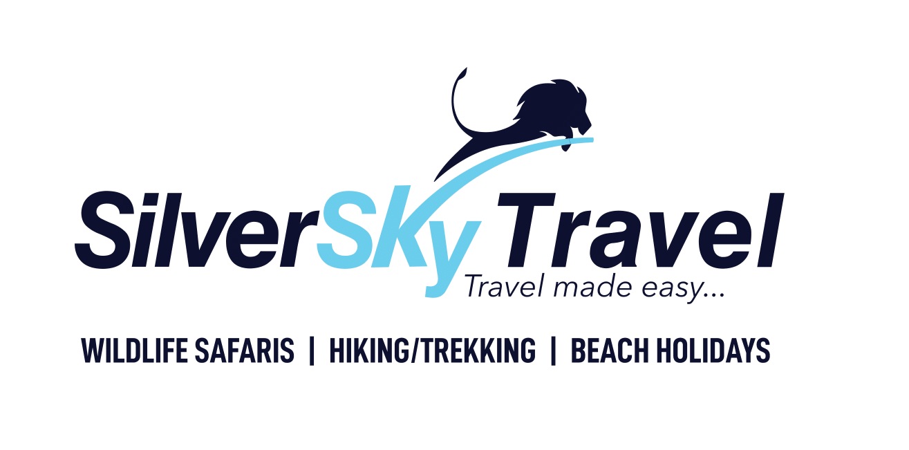 Silver Sky Logo