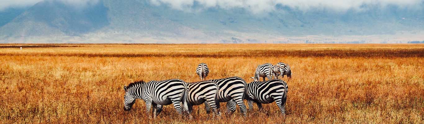 Ngorongoro Crater