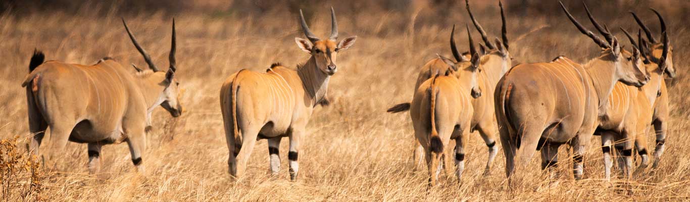 Udzungwa National Park